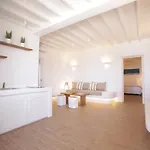 公寓式酒店 Seethrough Mykonos (adults Only)