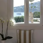 公寓式酒店 Seethrough Mykonos (adults Only) 普拉迪斯亚罗斯