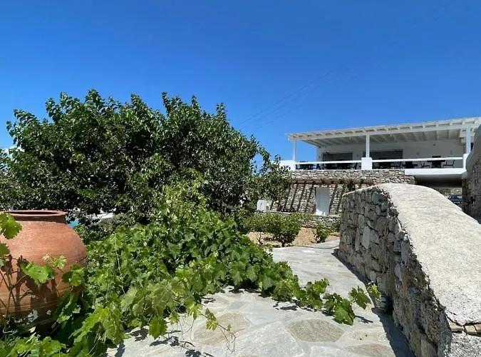 Seethrough Mykonos (adults Only) Платис Ялос