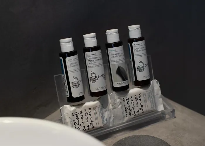 Seethrough Mykonos (adults Only) 公寓式酒店 普拉迪斯亚罗斯