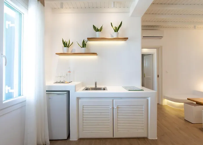 Seethrough Mykonos (adults Only) 4* بلاتيس يالوس